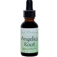 best botanicals angelica root extract