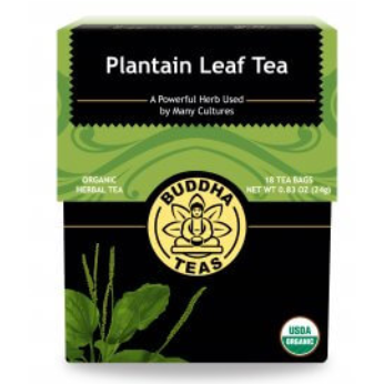 organic plantain buddha tea