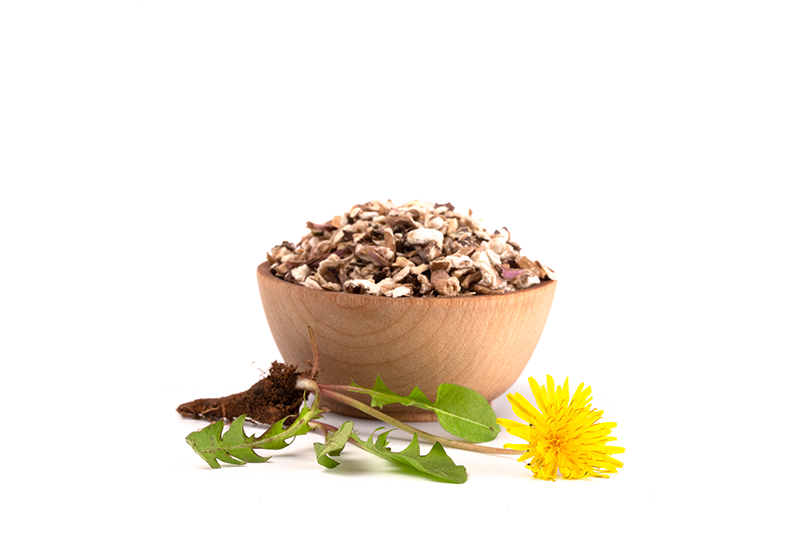 dandelion root supplements