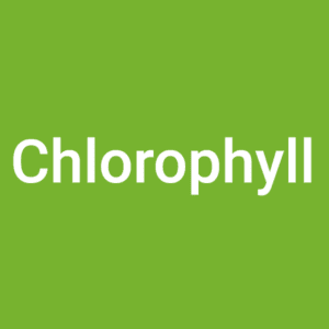 Chlorophyll Supplements
