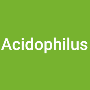 Acidophilus Supplements