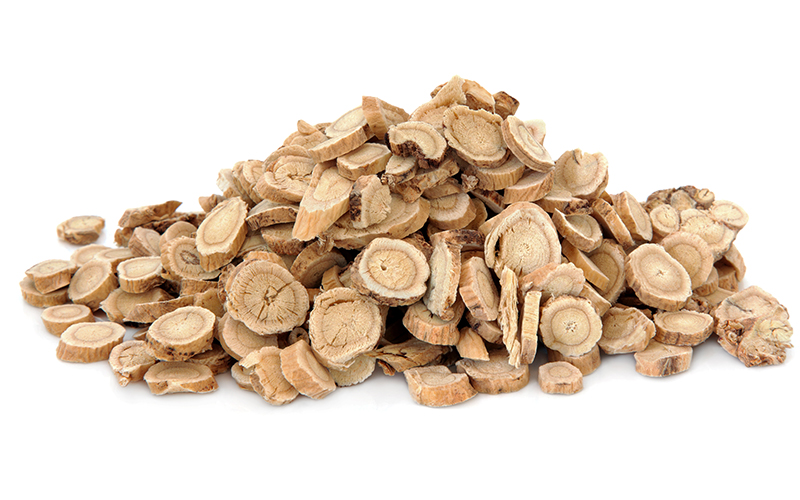 astragalus benefits