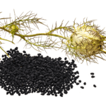 black seed supplements