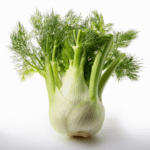 Fennel Supplements