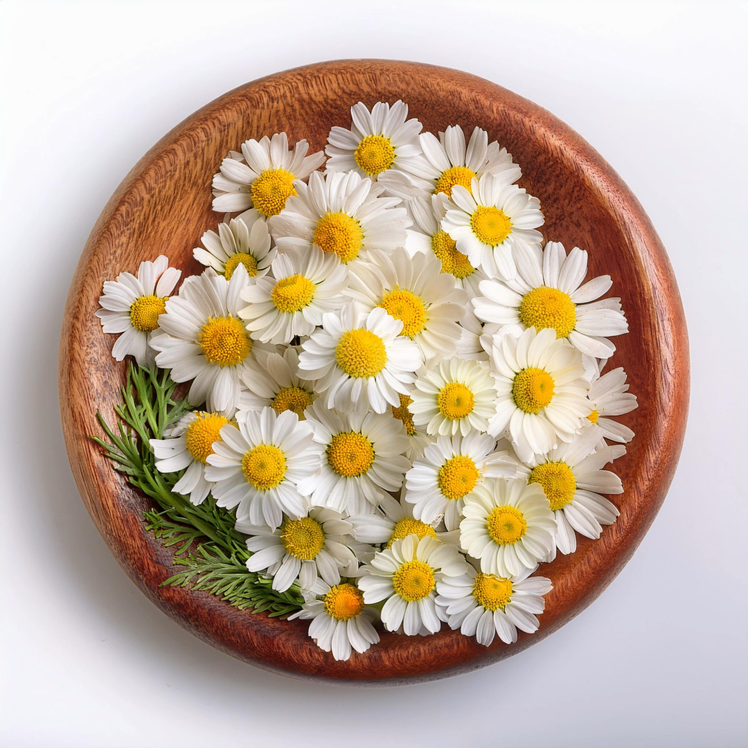 feverfew supplements