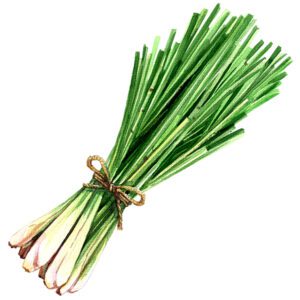 Lemongrass Supplements