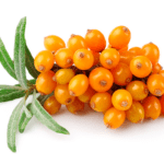 sea buckthorn supplements
