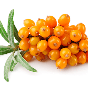 Sea Buckthorn Oil
