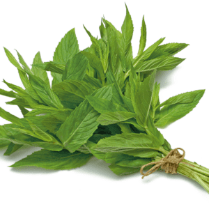 Spearmint Supplements