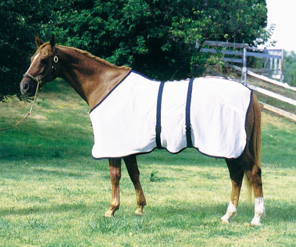 Magnetic Horse Blanket