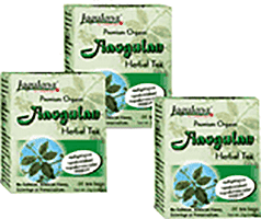 Organic Jiaogulan Tea Premium